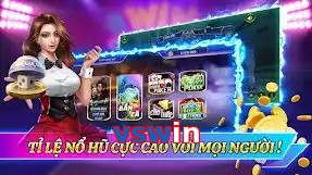 vswin