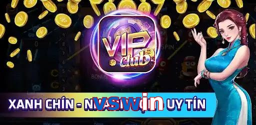 vswin