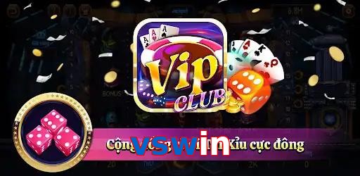 vswin
