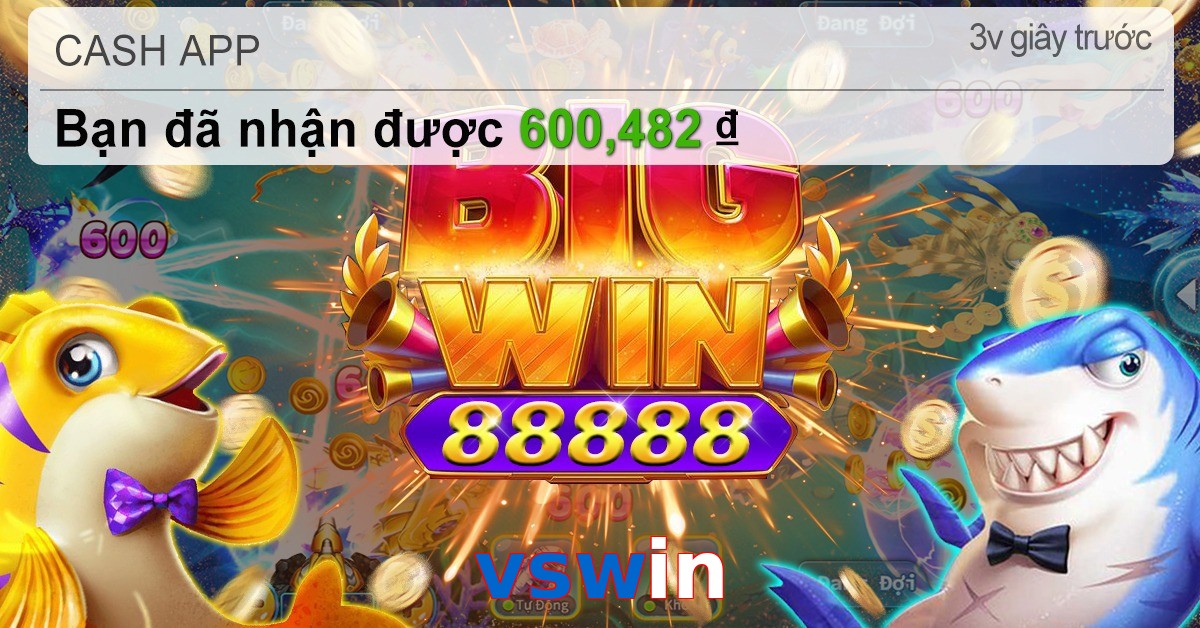 vswin